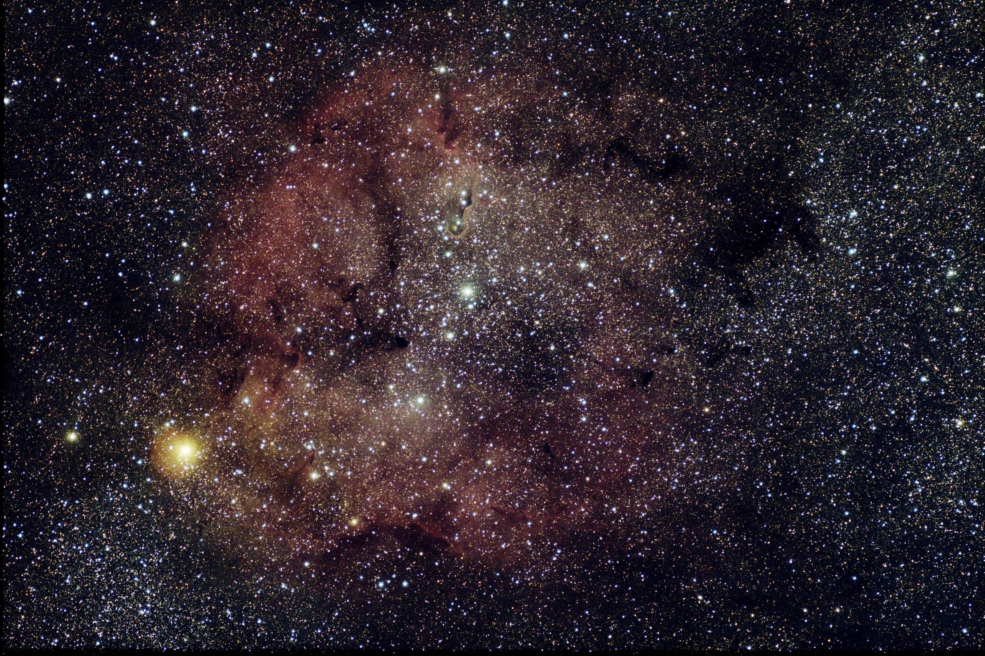 IC 1396 + la trompe